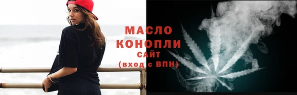 ECSTASY Тайга